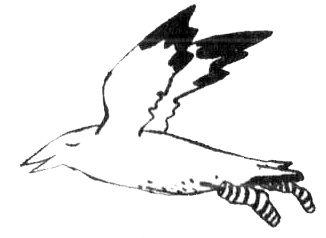 Иллюстрация к книге — Бабушка с крылышками [i_004.jpg]