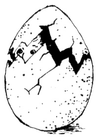 Иллюстрация к книге — Бабушка с крылышками [i_005.jpg]