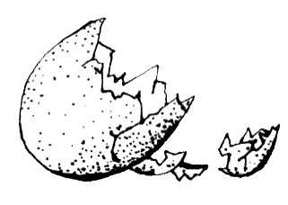 Иллюстрация к книге — Бабушка с крылышками [i_008.jpg]