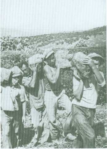 Иллюстрация к книге — Поколение пустыни. Москва - Вильно - Тель-Авив - Иерусалим [i_017.jpg]