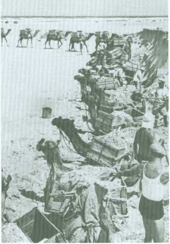 Иллюстрация к книге — Поколение пустыни. Москва - Вильно - Тель-Авив - Иерусалим [i_018.jpg]