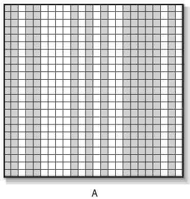 Иллюстрация к книге — Вечность. В поисках окончательной теории времени [img_34.jpg]