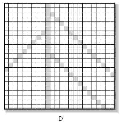 Иллюстрация к книге — Вечность. В поисках окончательной теории времени [img_41.jpg]