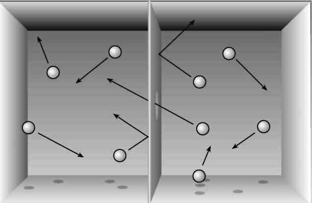 Иллюстрация к книге — Вечность. В поисках окончательной теории времени [img_43.jpg]