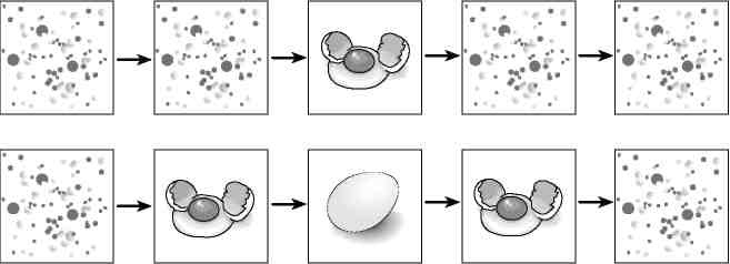 Иллюстрация к книге — Вечность. В поисках окончательной теории времени [img_58.jpg]