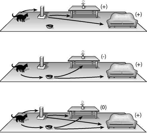 Иллюстрация к книге — Вечность. В поисках окончательной теории времени [img_59.jpg]