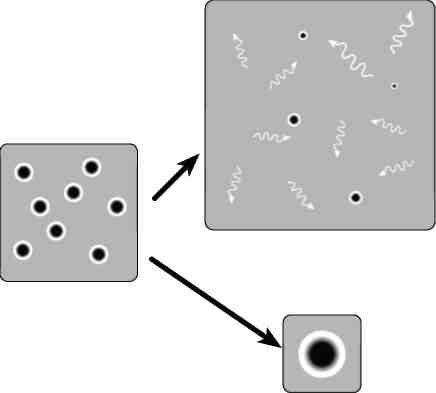 Иллюстрация к книге — Вечность. В поисках окончательной теории времени [img_73.jpg]