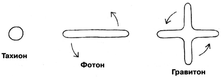 Иллюстрация к книге — Маленькая книга о большой теории струн. В поисках принципов устройства Вселенной [img_8.jpg]