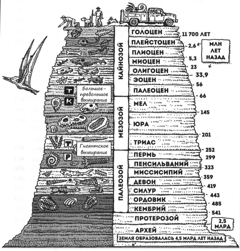 Иллюстрация к книге — Отпечатки жизни. 25 шагов эволюции и вся история планеты [img_1.jpg]