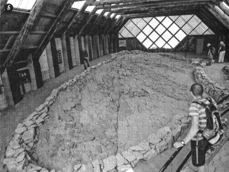 Иллюстрация к книге — Отпечатки жизни. 25 шагов эволюции и вся история планеты [img_102.jpg]