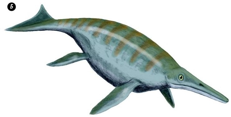 Иллюстрация к книге — Отпечатки жизни. 25 шагов эволюции и вся история планеты [img_104.jpg]