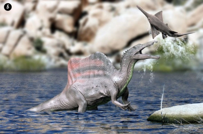 Иллюстрация к книге — Отпечатки жизни. 25 шагов эволюции и вся история планеты [img_119.jpg]