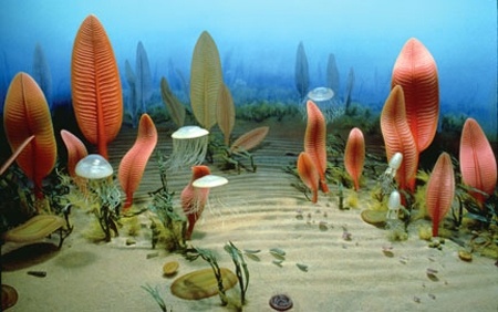 Иллюстрация к книге — Отпечатки жизни. 25 шагов эволюции и вся история планеты [img_13.jpg]