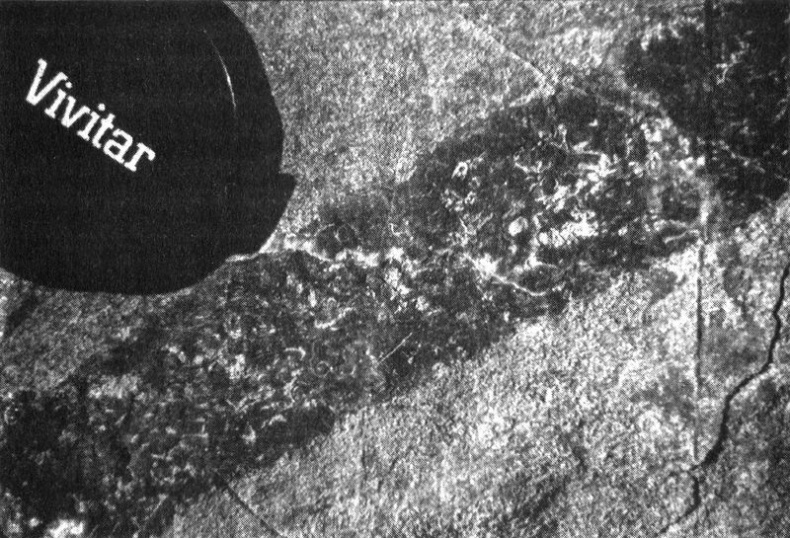 Иллюстрация к книге — Отпечатки жизни. 25 шагов эволюции и вся история планеты [img_14.jpg]