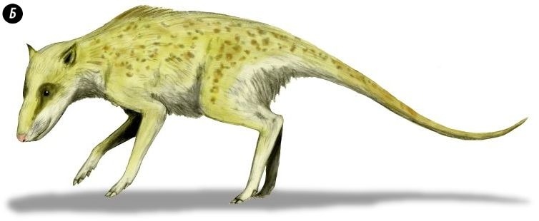 Иллюстрация к книге — Отпечатки жизни. 25 шагов эволюции и вся история планеты [img_160.jpg]