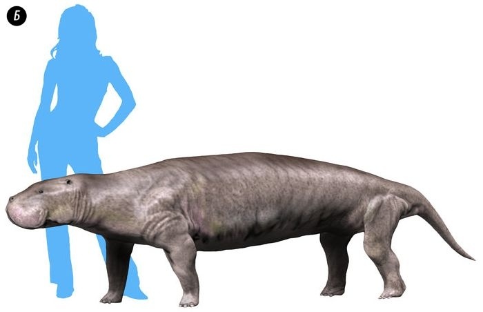 Иллюстрация к книге — Отпечатки жизни. 25 шагов эволюции и вся история планеты [img_166.jpg]