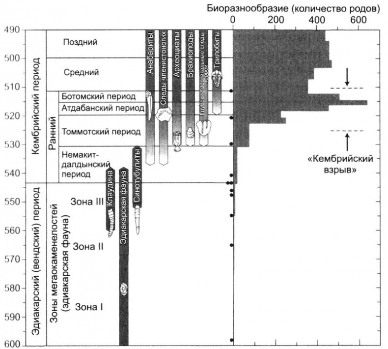 Иллюстрация к книге — Отпечатки жизни. 25 шагов эволюции и вся история планеты [img_17.jpg]