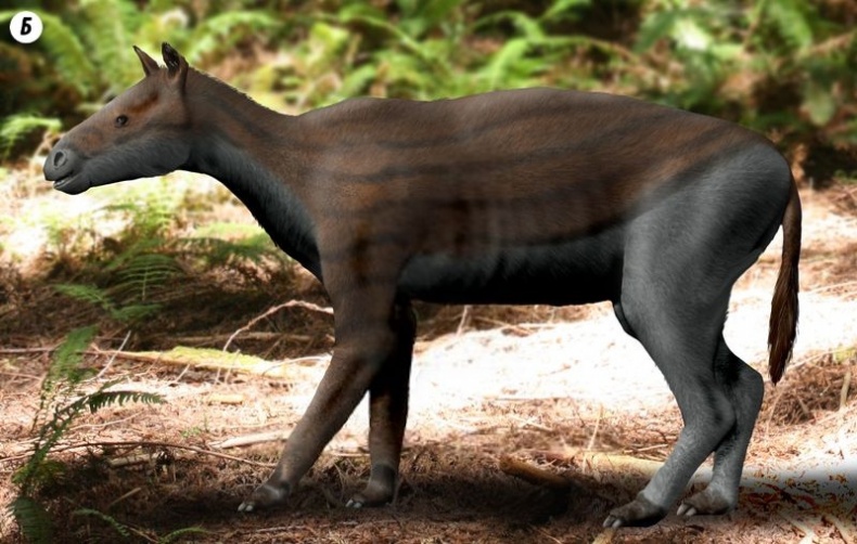 Иллюстрация к книге — Отпечатки жизни. 25 шагов эволюции и вся история планеты [img_174.jpg]