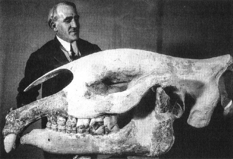 Иллюстрация к книге — Отпечатки жизни. 25 шагов эволюции и вся история планеты [img_179.jpg]