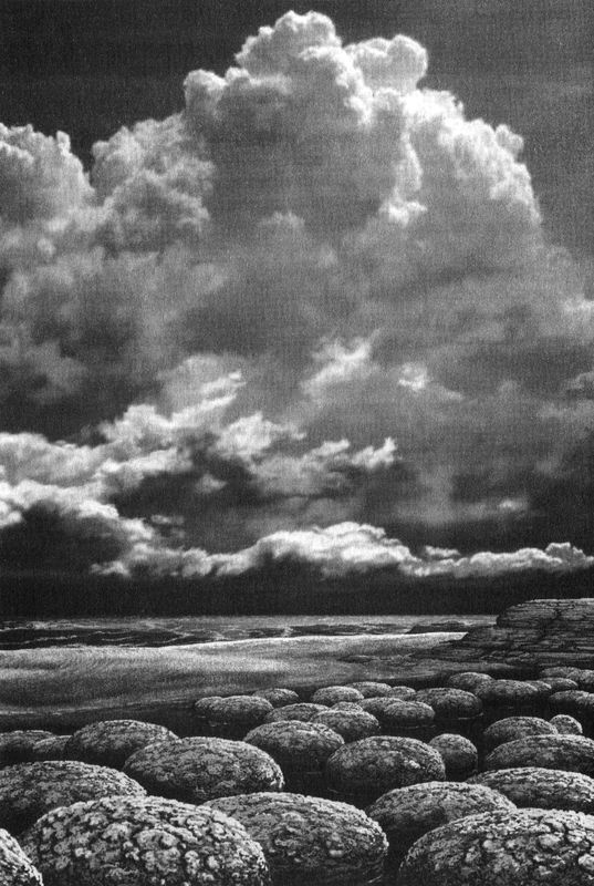 Иллюстрация к книге — Отпечатки жизни. 25 шагов эволюции и вся история планеты [img_2.jpg]