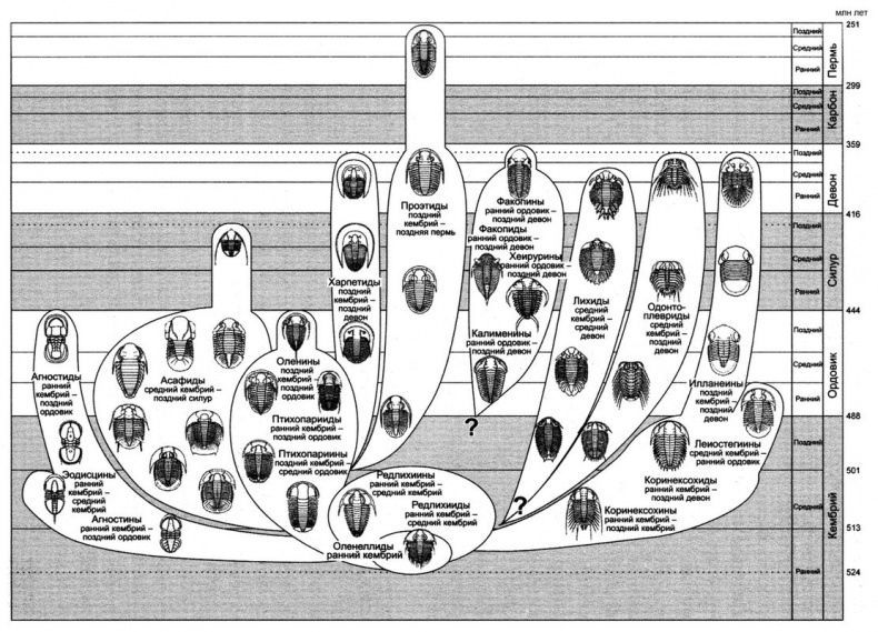 Иллюстрация к книге — Отпечатки жизни. 25 шагов эволюции и вся история планеты [img_23.jpg]