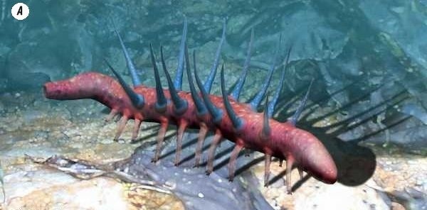 Иллюстрация к книге — Отпечатки жизни. 25 шагов эволюции и вся история планеты [img_25.jpg]