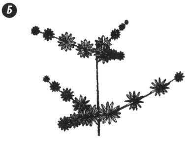 Иллюстрация к книге — Отпечатки жизни. 25 шагов эволюции и вся история планеты [img_45.jpg]