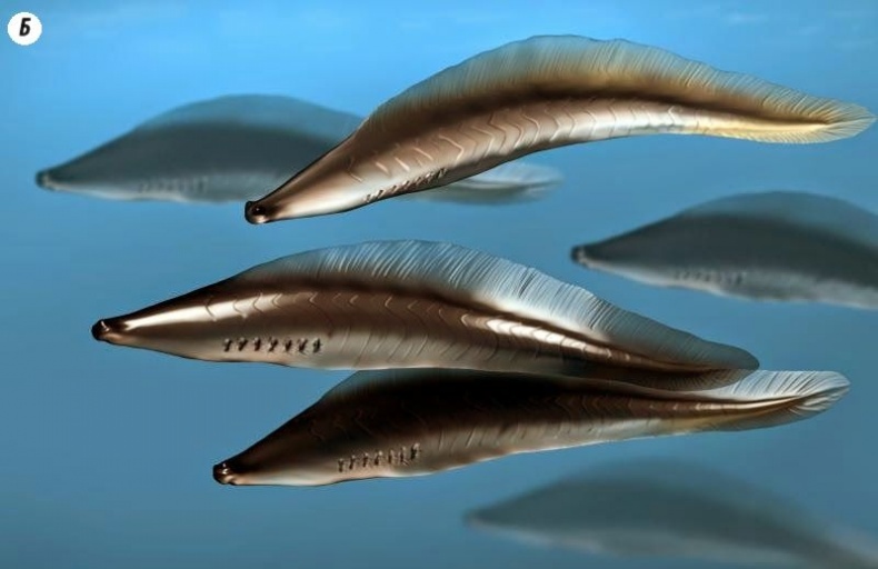 Иллюстрация к книге — Отпечатки жизни. 25 шагов эволюции и вся история планеты [img_55.jpg]