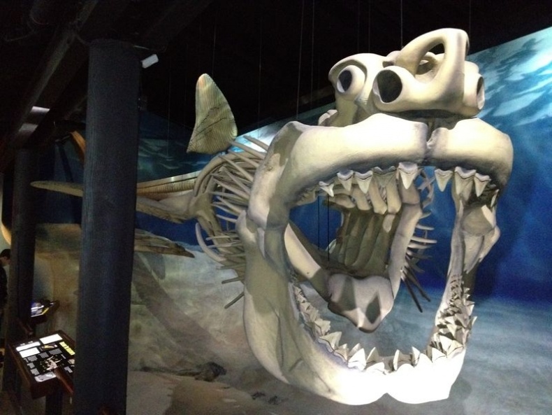 Иллюстрация к книге — Отпечатки жизни. 25 шагов эволюции и вся история планеты [img_58.jpg]