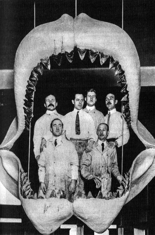 Иллюстрация к книге — Отпечатки жизни. 25 шагов эволюции и вся история планеты [img_59.jpg]