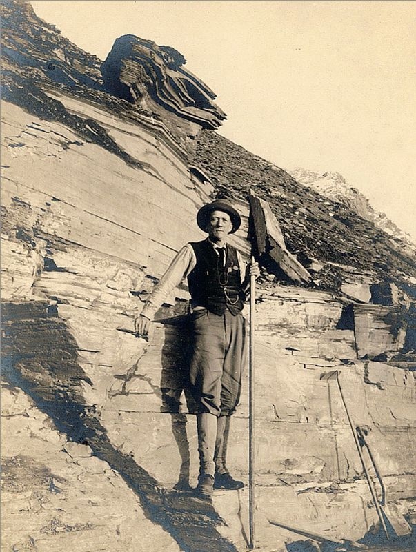 Иллюстрация к книге — Отпечатки жизни. 25 шагов эволюции и вся история планеты [img_6.jpg]