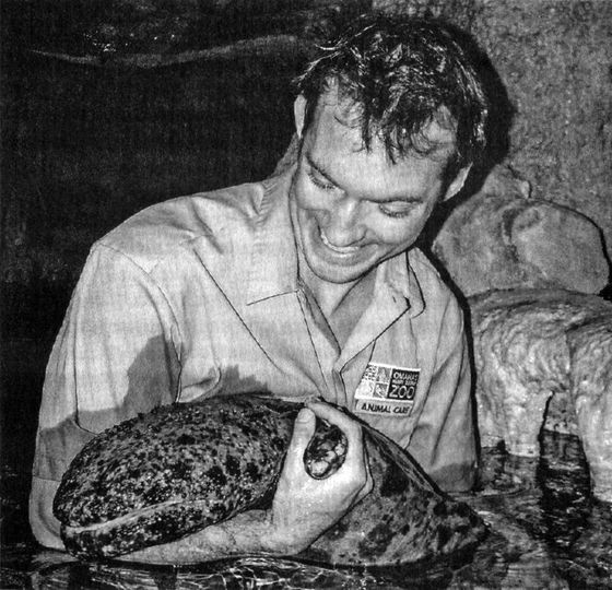 Иллюстрация к книге — Отпечатки жизни. 25 шагов эволюции и вся история планеты [img_69.jpg]