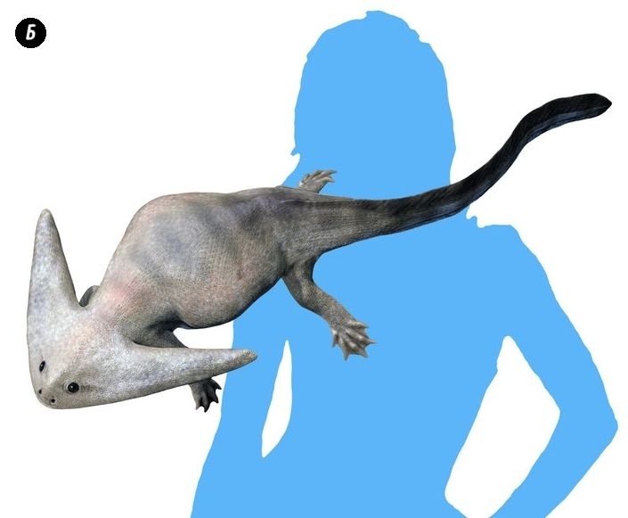 Иллюстрация к книге — Отпечатки жизни. 25 шагов эволюции и вся история планеты [img_72.jpg]