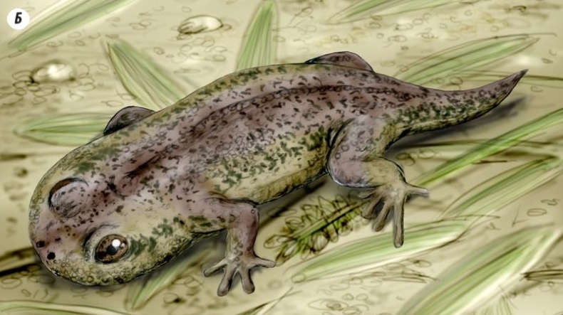 Иллюстрация к книге — Отпечатки жизни. 25 шагов эволюции и вся история планеты [img_75.jpg]