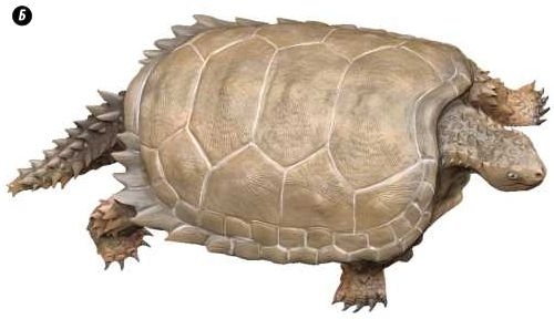 Иллюстрация к книге — Отпечатки жизни. 25 шагов эволюции и вся история планеты [img_82.jpg]