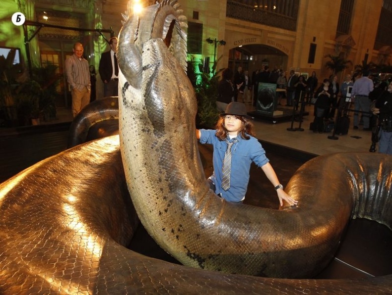 Иллюстрация к книге — Отпечатки жизни. 25 шагов эволюции и вся история планеты [img_89.jpg]