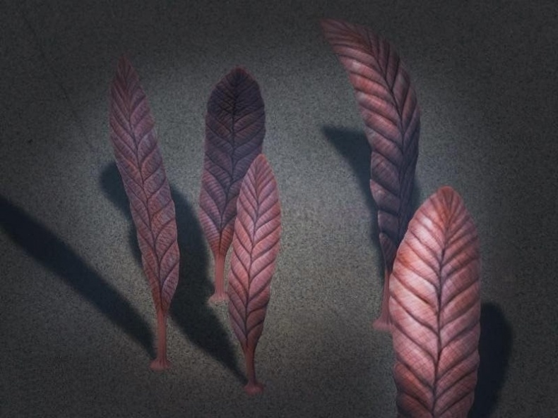 Иллюстрация к книге — Отпечатки жизни. 25 шагов эволюции и вся история планеты [img_9.jpg]