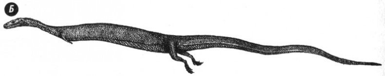 Иллюстрация к книге — Отпечатки жизни. 25 шагов эволюции и вся история планеты [img_91.jpg]