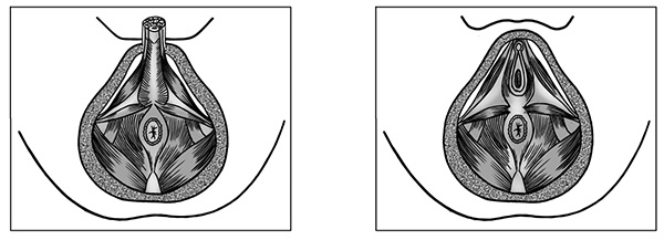Иллюстрация к книге — 100 лет активной жизни, или Секреты здорового долголетия. 1000 ответов на вопросы, как вернуть здоровье [i_002.jpg]