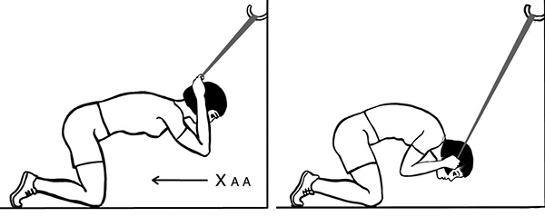 Иллюстрация к книге — 100 лет активной жизни, или Секреты здорового долголетия. 1000 ответов на вопросы, как вернуть здоровье [i_014.jpg]