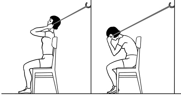 Иллюстрация к книге — 100 лет активной жизни, или Секреты здорового долголетия. 1000 ответов на вопросы, как вернуть здоровье [i_015.jpg]