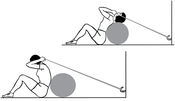 Иллюстрация к книге — 100 лет активной жизни, или Секреты здорового долголетия. 1000 ответов на вопросы, как вернуть здоровье [i_016.jpg]