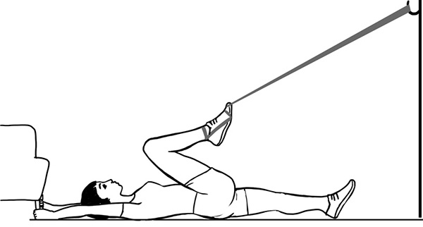 Иллюстрация к книге — 100 лет активной жизни, или Секреты здорового долголетия. 1000 ответов на вопросы, как вернуть здоровье [i_024.jpg]