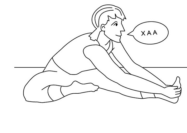 Иллюстрация к книге — 100 лет активной жизни, или Секреты здорового долголетия. 1000 ответов на вопросы, как вернуть здоровье [i_050.jpg]