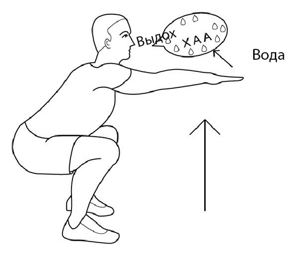 Иллюстрация к книге — 100 лет активной жизни, или Секреты здорового долголетия. 1000 ответов на вопросы, как вернуть здоровье [i_056.jpg]