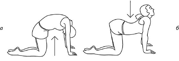 Иллюстрация к книге — 100 лет активной жизни, или Секреты здорового долголетия. 1000 ответов на вопросы, как вернуть здоровье [i_063.jpg]