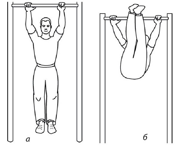 Иллюстрация к книге — 100 лет активной жизни, или Секреты здорового долголетия. 1000 ответов на вопросы, как вернуть здоровье [i_067.jpg]