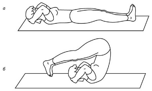 Иллюстрация к книге — 100 лет активной жизни, или Секреты здорового долголетия. 1000 ответов на вопросы, как вернуть здоровье [i_080.jpg]