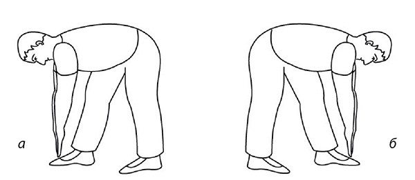 Иллюстрация к книге — 100 лет активной жизни, или Секреты здорового долголетия. 1000 ответов на вопросы, как вернуть здоровье [i_100.jpg]