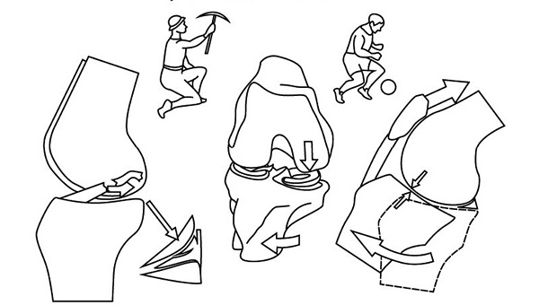 Иллюстрация к книге — 100 лет активной жизни, или Секреты здорового долголетия. 1000 ответов на вопросы, как вернуть здоровье [i_103.jpg]